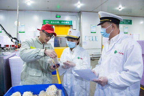 海關(guān)助力惠州金針菇開拓國際市場(chǎng)