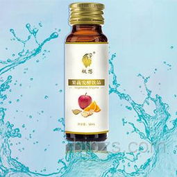 善德生物科技 以果蔬發酵飲品為媒，誠邀上海伙伴共拓健康藍海